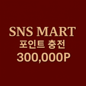 포인트 충전 300,000P